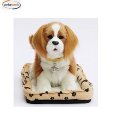 CANE CHARLIE CAMMINANTE