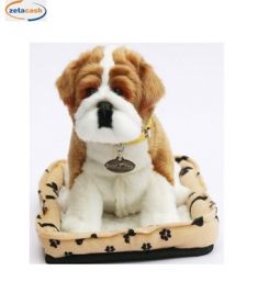 CANE BULLDOG CAMMINANTE