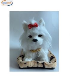 CANE MALTESE CAMMINANTE