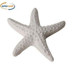 GESSO A FORMA DI CHIAVE STELLA MARINA BIANCO CM 5 PEZZI 12