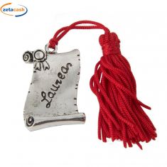 RICORDO LAUREA PERGAMENA