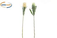 STELO FIORE CARCIOFO H65CM COL ASS