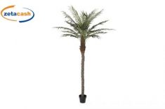 ALBERO IN POLIESTERE POLIPROPILENE PALMA VERDE 100X100X230CM