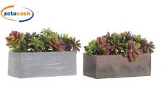 VASO RETTANGOLARE PIANTA GRASSA VERDE FUCSIA H14X25X16CM