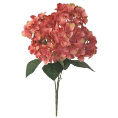MAZZETTINO DI ORTENSIE CORALLO H 47 CM