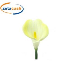 STELO CALLA COLORE GIALLO H 65 CM