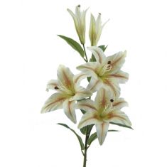STELO CON 5 GIGLI SALMONE H 102 CM