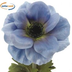 PAPAVERO AZZURRO H 54 CM