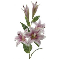 STELO CON 5 GIGLI MALVA H 102 CM