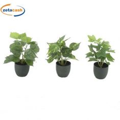 PIANTA IN VASO NERO H 26 CM ASSORTITE