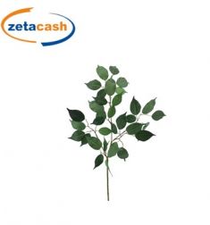 RAMO DI FICUS BENJAMINA VERDE H 88 CM