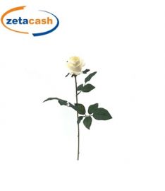 STELO BOCCIOLO DI ROSA COLORE BEIGE CM X DIAM. 5 CM