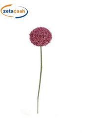 STELO ALLIUM ROTONDO FUCSIA D 11 CM H 70 CM