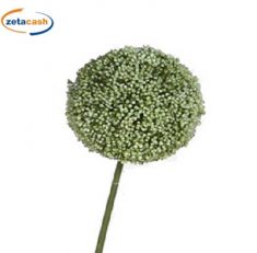 STELO ALLIUM ROTONDO VERDE D 11 CM H 70 CM
