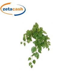 RAMO DI FOGLIE DELLA PIANTA POTOS PENDENTI VERDE H 50 CM