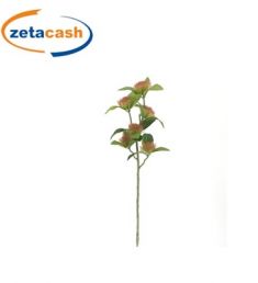 STELO DI CENTAUREA COLORE FUCSIA H 62 CM