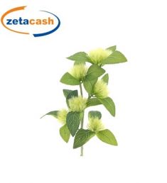 STELO DI CENTAUREA COLORE CREMA H 62 CM