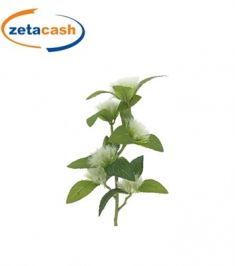 STELO DI CENTAUREA COLORE BIANCO H 62 CM