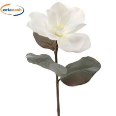 STELO MAGNOLIA BIANCA H 64 CM