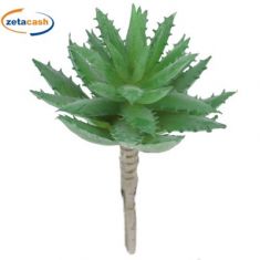 RAMETTO DI ALOE VERDE DIAM 8 X H 15 CM