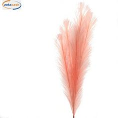 STELO PIUME PAMPAS CORALLO 84 CM