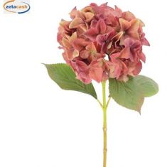 STELO ORTENSIE CORALLO 65 CM