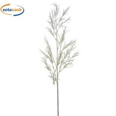 STELO DI TILLANDSIA BIANCO H 80 CM