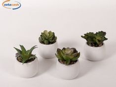 PIANTA GRASSA ARTIFICIALE VASO BIANCO CERAMICA H11 CM ASS