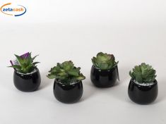 PIANTA GRASSA ARTIFICIALE