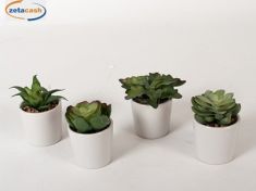 PIANTA GRASSA ARTIFICIALE VASO CERAMICA BIANCA H11 CM ASS