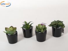 PIANTA GRASSA ARTIFICIALE IN VASO NERO