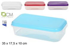 FRIGOBOX IN PLASTICA 35 X 18 CM