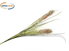 RAMO CON 2 PAMPAS VERDI E FOGLIE 14X14XH115 CM