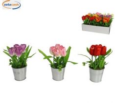 PIANTA TULIPANI CON VASO H19 CM COL ASS