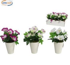 PIANTA CAMPANULE IN VASO BIANCO H20CM COL ASS