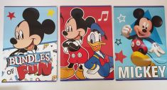 QUADERNO MICKEY PREMIUM MAXI RIGO B